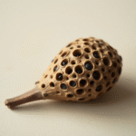 trypophobie sante2fer